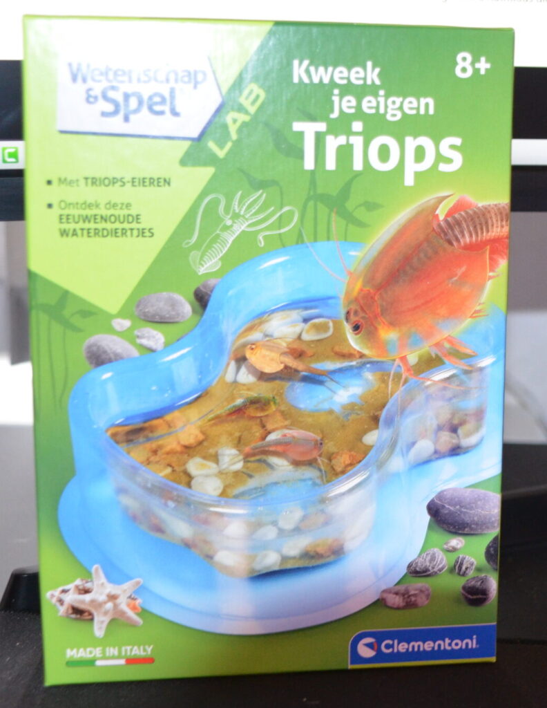 Triops tank