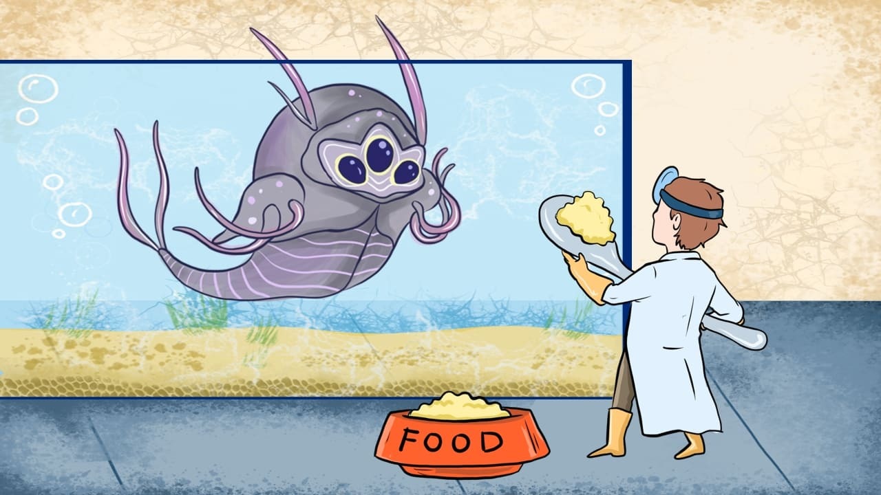 How to feed and grow your triops