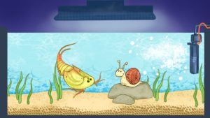How Big Do Triops Get?