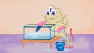 How to manage a Triops tank
