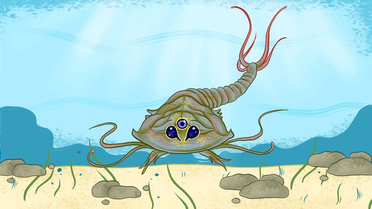 What are Triops?