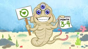 How long does Triops live?